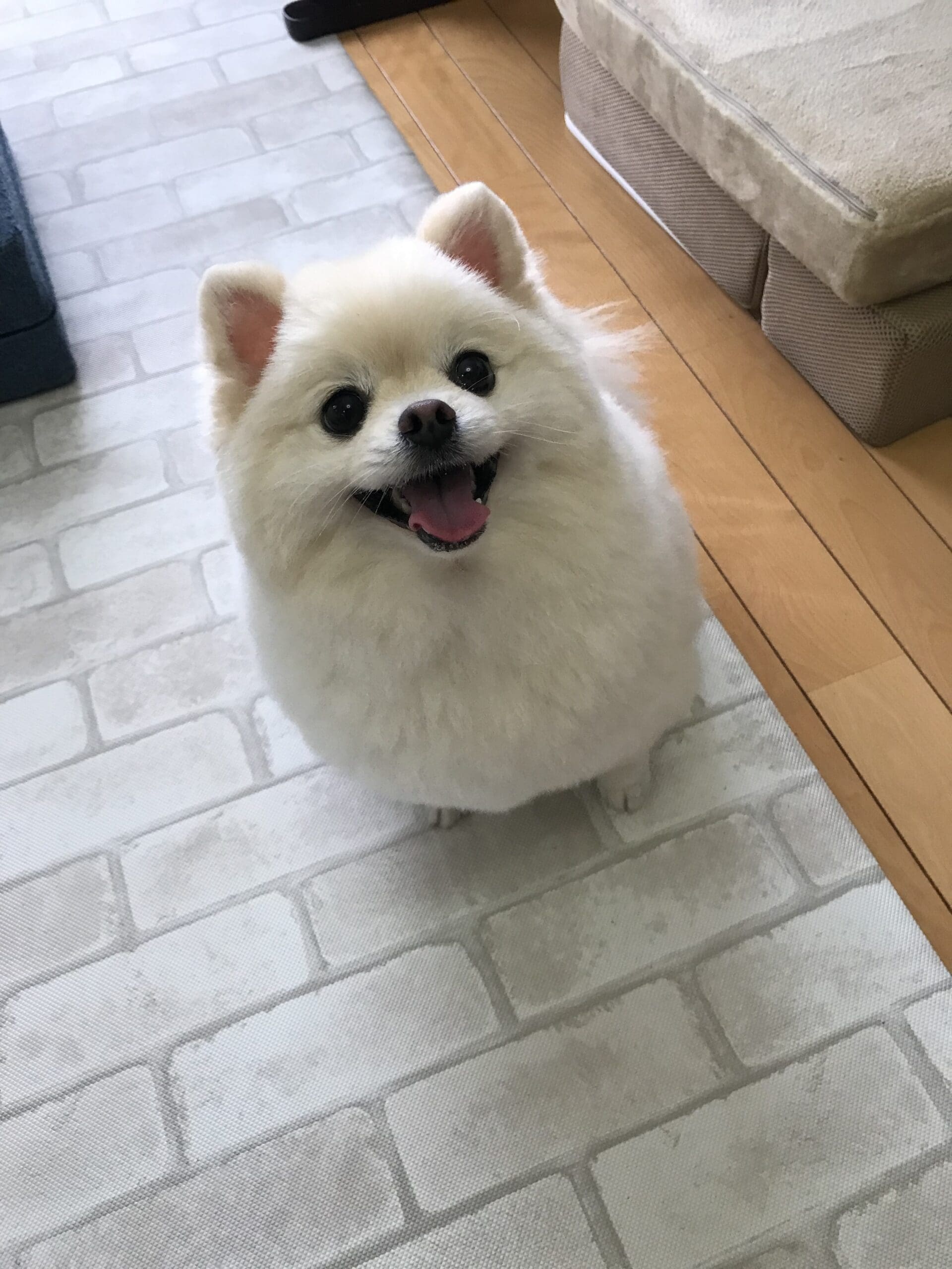 ワンタン