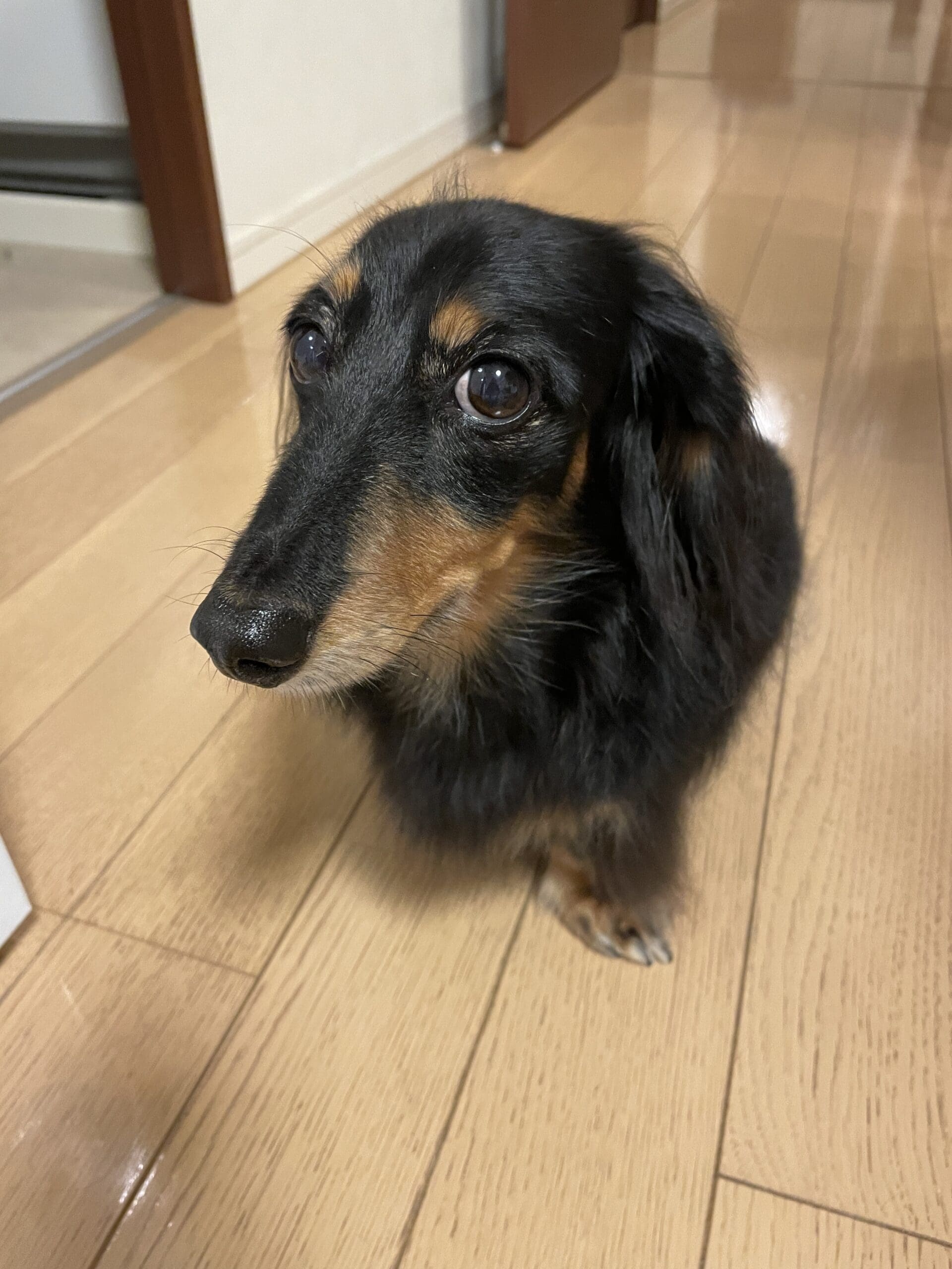 Jack
