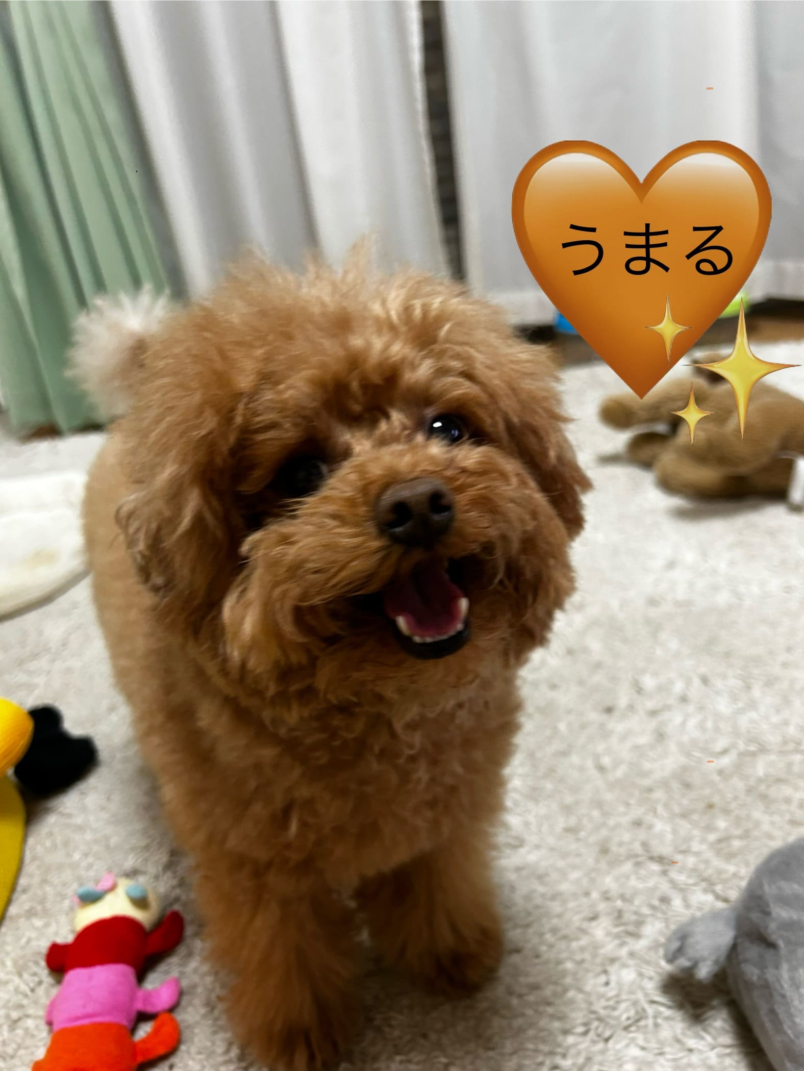 うまる
