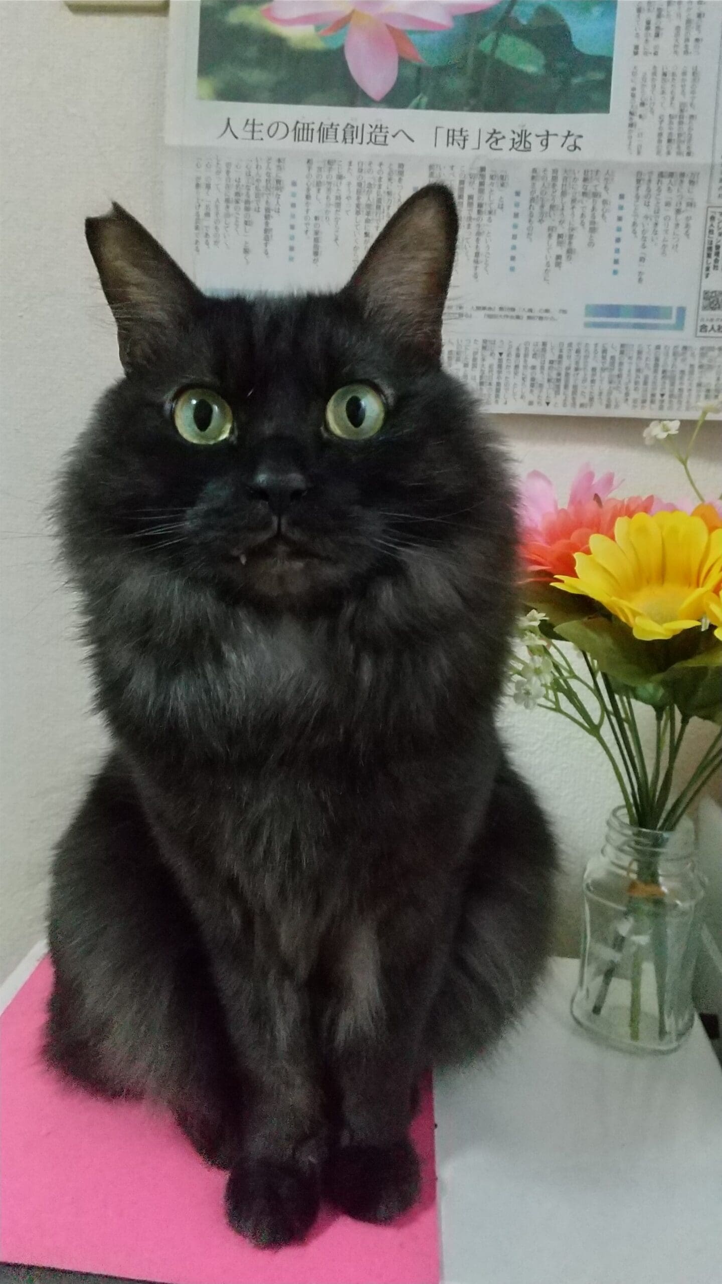 大心(だいしん)※ニックネームは大ちゃん