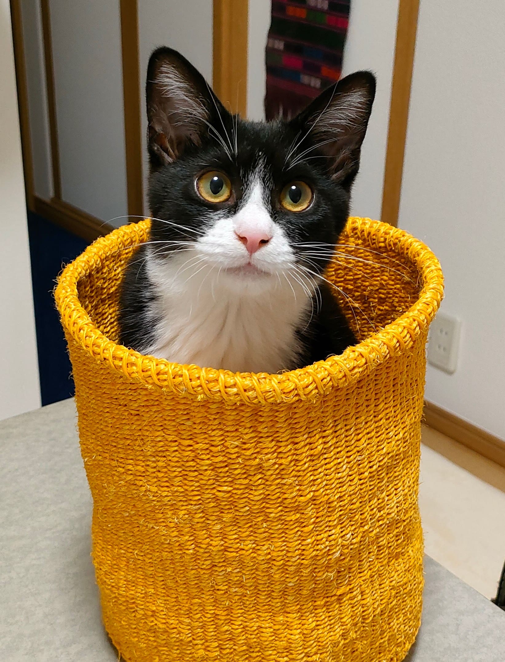 バミ