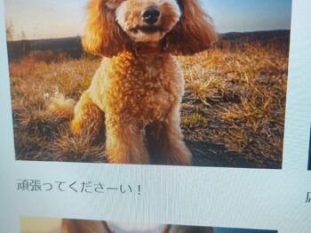 '}}