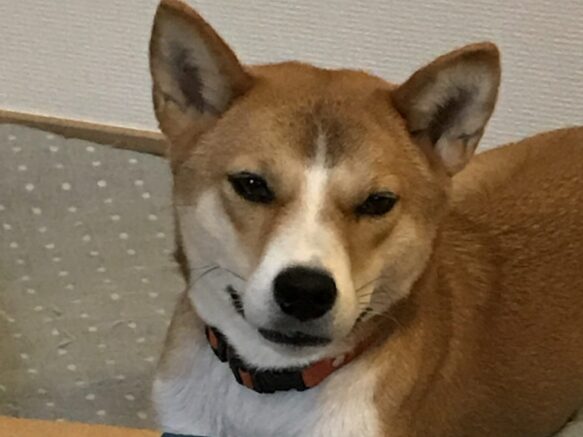 289687